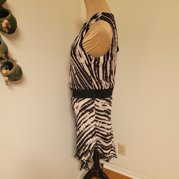 Haute Hippie Silk Dress Medium Sleeveless Animal Print Studded Asymmetrical - Picture 5 of 7